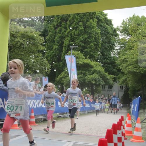 17.05.2025 - Störlauf H.Heesch http://msf.ph/oto/7853583 17.05.2025 13:17:35 Ziel  meine-sportfotos.de