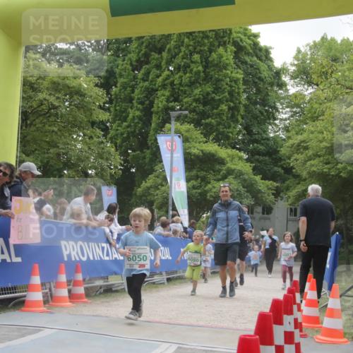 17.05.2025 - Störlauf H.Heesch http://msf.ph/oto/7853591 17.05.2025 13:17:39 Ziel  meine-sportfotos.de