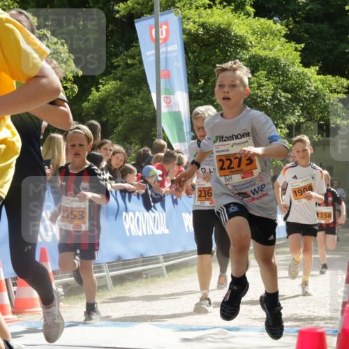 17.05.2025 - Störlauf H.Heesch http://msf.ph/oto/7853696 17.05.2025 15:28:58 Ziel  meine-sportfotos.de