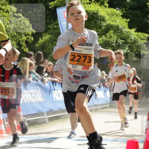 17.05.2025 - Störlauf H.Heesch http://msf.ph/oto/7853698 17.05.2025 15:28:58 Ziel  meine-sportfotos.de