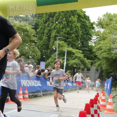 17.05.2025 - Störlauf H.Heesch http://msf.ph/oto/7853764 17.05.2025 13:42:15 Ziel  meine-sportfotos.de