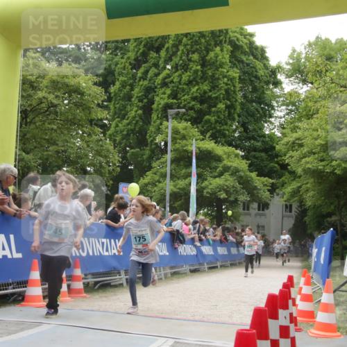 17.05.2025 - Störlauf H.Heesch http://msf.ph/oto/7853861 17.05.2025 13:43:39 Ziel  meine-sportfotos.de