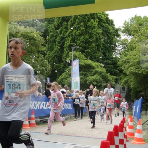 17.05.2025 - Störlauf H.Heesch http://msf.ph/oto/7854010 17.05.2025 13:45:12 Ziel  meine-sportfotos.de