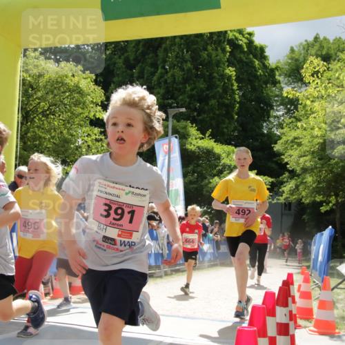 17.05.2025 - Störlauf H.Heesch http://msf.ph/oto/7854662 17.05.2025 13:57:39 Ziel  meine-sportfotos.de