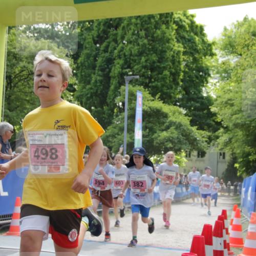 17.05.2025 - Störlauf H.Heesch http://msf.ph/oto/7854747 17.05.2025 13:58:26 Ziel  meine-sportfotos.de