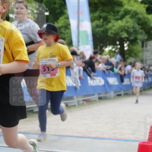17.05.2025 - Störlauf H.Heesch http://msf.ph/oto/7854796 17.05.2025 13:58:54 Ziel  meine-sportfotos.de