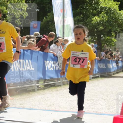 17.05.2025 - Störlauf H.Heesch http://msf.ph/oto/7854920 17.05.2025 14:02:00 Ziel  meine-sportfotos.de