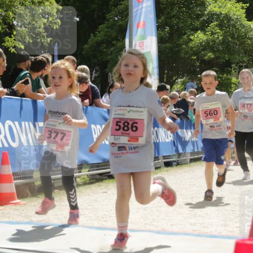 17.05.2025 - Störlauf H.Heesch http://msf.ph/oto/7854936 17.05.2025 14:02:17 Ziel  meine-sportfotos.de