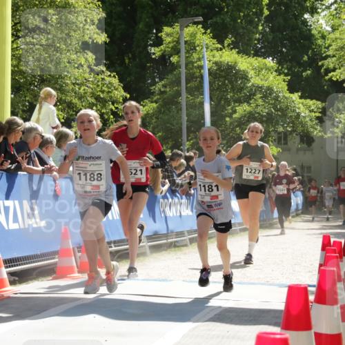 17.05.2025 - Störlauf H.Heesch http://msf.ph/oto/7856046 17.05.2025 14:44:31 Ziel  meine-sportfotos.de