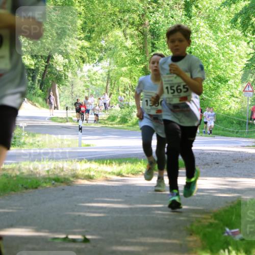 17.05.2025 - Störlauf Strokosch-Dieckow http://msf.ph/oto/7856586 17.05.2025 14:42:18 Laufen 1639, 1390, 1565, 1521, 1520 meine-sportfotos.de