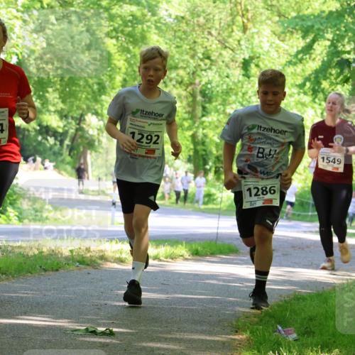 17.05.2025 - Störlauf Strokosch-Dieckow http://msf.ph/oto/7856605 17.05.2025 14:42:36 Laufen 2025, 1544, 1292, 1286, 1549 meine-sportfotos.de
