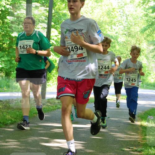 17.05.2025 - Störlauf Strokosch-Dieckow http://msf.ph/oto/7857011 17.05.2025 14:44:57 Laufen 1423, 2025, 1494, 1244, 1564, 1245 meine-sportfotos.de