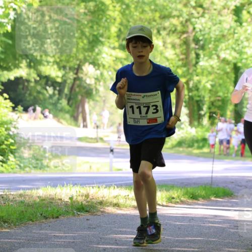 17.05.2025 - Störlauf Strokosch-Dieckow http://msf.ph/oto/7857052 17.05.2025 14:45:07 Laufen 2025, 1173, 1430, 398 meine-sportfotos.de
