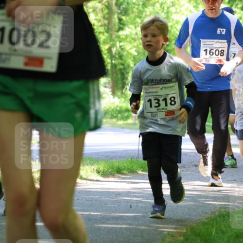 17.05.2025 - Störlauf Strokosch-Dieckow http://msf.ph/oto/7857131 17.05.2025 14:45:35 Laufen 1002, 2025, 1318, 1608, 2045, 1607 meine-sportfotos.de