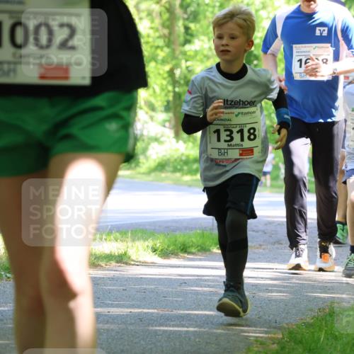 17.05.2025 - Störlauf Strokosch-Dieckow http://msf.ph/oto/7857135 17.05.2025 14:45:35 Laufen 1002, 168, 2025, 1318, 2025, 166 meine-sportfotos.de