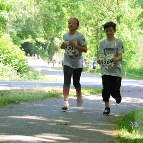 17.05.2025 - Störlauf Strokosch-Dieckow http://msf.ph/oto/7857180 17.05.2025 14:45:48 Laufen 120, 2025, 1205 meine-sportfotos.de