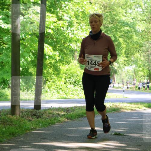 17.05.2025 - Störlauf Strokosch-Dieckow http://msf.ph/oto/7857222 17.05.2025 14:46:12 Laufen 1445 meine-sportfotos.de