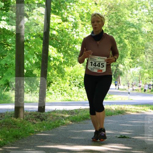 17.05.2025 - Störlauf Strokosch-Dieckow http://msf.ph/oto/7857224 17.05.2025 14:46:13 Laufen 2025, 1445 meine-sportfotos.de