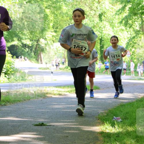 17.05.2025 - Störlauf Strokosch-Dieckow http://msf.ph/oto/7857303 17.05.2025 14:46:31 Laufen 2025, 1481, 1047, 1414 meine-sportfotos.de