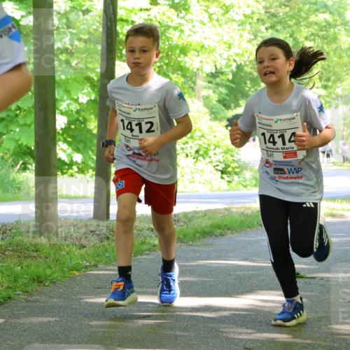 17.05.2025 - Störlauf Strokosch-Dieckow http://msf.ph/oto/7857329 17.05.2025 14:46:34 Laufen 2025, 1412, 2025, 1414, 25 meine-sportfotos.de