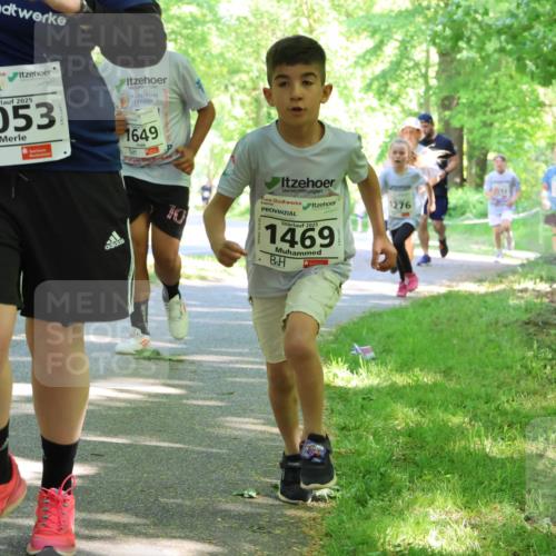 17.05.2025 - Störlauf Strokosch-Dieckow http://msf.ph/oto/7857490 17.05.2025 14:46:58 Laufen 2025, 1053, 1649, 10, 2025, 1469, 1276 meine-sportfotos.de