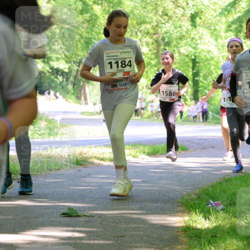 17.05.2025 - Störlauf Strokosch-Dieckow http://msf.ph/oto/7857644 17.05.2025 14:48:03 Laufen 2025, 1184, 39, 1586, 2, 13, 30 meine-sportfotos.de