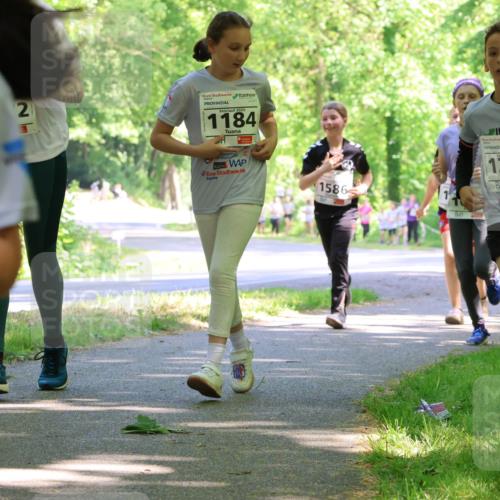17.05.2025 - Störlauf Strokosch-Dieckow http://msf.ph/oto/7857646 17.05.2025 14:48:03 Laufen 2, 2025, 1184, 1586, 75, 13 meine-sportfotos.de