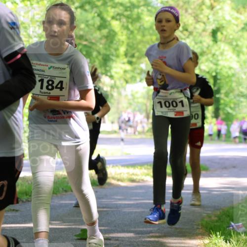 17.05.2025 - Störlauf Strokosch-Dieckow http://msf.ph/oto/7857653 17.05.2025 14:48:05 Laufen 2025, 1301, 2025, 184, 1001, 90 meine-sportfotos.de