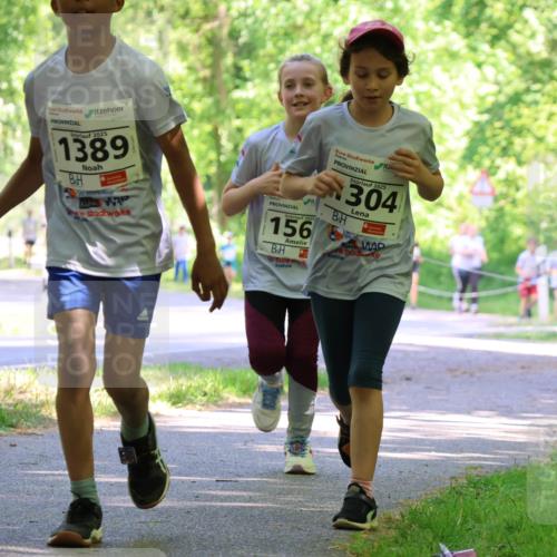 17.05.2025 - Störlauf Strokosch-Dieckow http://msf.ph/oto/7857700 17.05.2025 14:48:16 Laufen 2025, 1389, 2025, 156, 2025, 304 meine-sportfotos.de