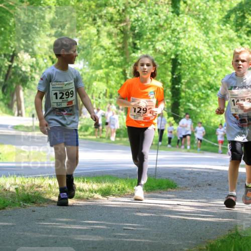 17.05.2025 - Störlauf Strokosch-Dieckow http://msf.ph/oto/7857729 17.05.2025 14:48:32 Laufen 1299, 129, 14, 484, 324 meine-sportfotos.de