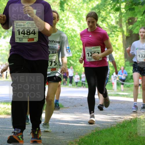 17.05.2025 - Störlauf Strokosch-Dieckow http://msf.ph/oto/7857761 17.05.2025 14:48:36 Laufen 2025, 1484, 2025, 75, 12, 1322, 258 meine-sportfotos.de