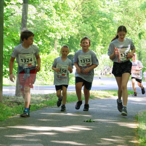 17.05.2025 - Störlauf Strokosch-Dieckow http://msf.ph/oto/7857781 17.05.2025 14:48:43 Laufen 1324, 258, 1312, 1327, 10, 1239, 143, 12 meine-sportfotos.de