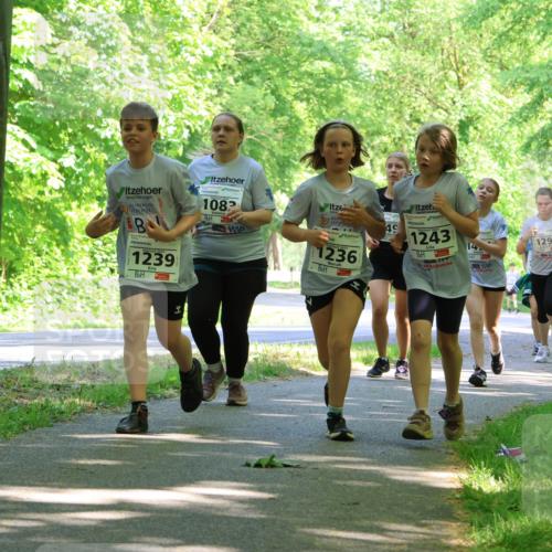 17.05.2025 - Störlauf Strokosch-Dieckow http://msf.ph/oto/7857804 17.05.2025 14:48:48 Laufen 1239, 1082, 1236, 49, 1243, 14, 1298, 1278 meine-sportfotos.de