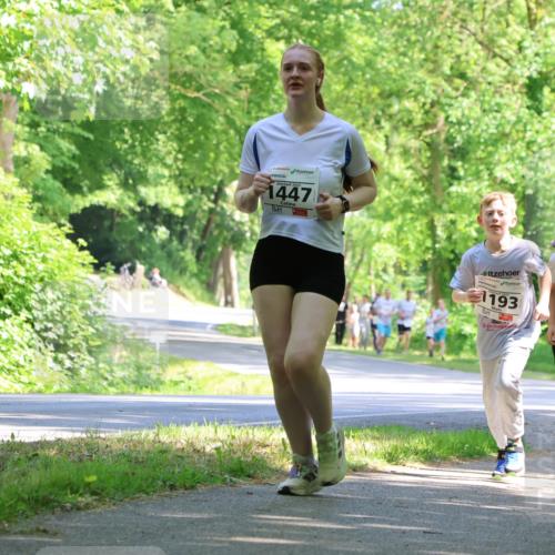 17.05.2025 - Störlauf Strokosch-Dieckow http://msf.ph/oto/7857910 17.05.2025 14:49:18 Laufen 2025, 1447, 485, 1193, 1346, 1345 meine-sportfotos.de