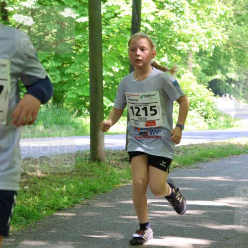 17.05.2025 - Störlauf Strokosch-Dieckow http://msf.ph/oto/7857973 17.05.2025 14:49:32 Laufen 2025, 247, 2025, 1215 meine-sportfotos.de