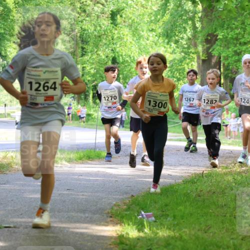 17.05.2025 - Störlauf Strokosch-Dieckow http://msf.ph/oto/7858147 17.05.2025 14:50:31 Laufen 1264, 1270, 1300, 1267, 1282, 1249, 1428 meine-sportfotos.de