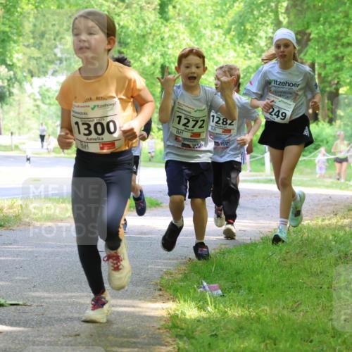 17.05.2025 - Störlauf Strokosch-Dieckow http://msf.ph/oto/7858153 17.05.2025 14:50:33 Laufen 2025, 1300, 1272, 1282, 249, 1428 meine-sportfotos.de