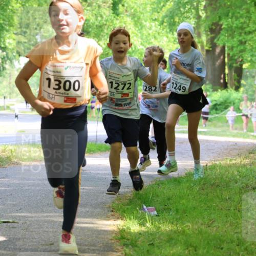 17.05.2025 - Störlauf Strokosch-Dieckow http://msf.ph/oto/7858160 17.05.2025 14:50:33 Laufen 2025, 1300, 2025, 1282, 1249, 1428 meine-sportfotos.de