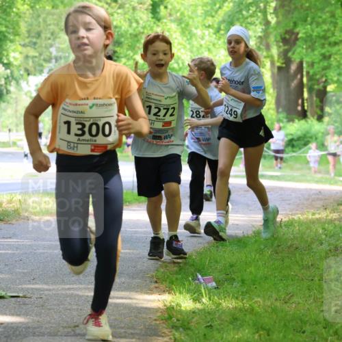 17.05.2025 - Störlauf Strokosch-Dieckow http://msf.ph/oto/7858161 17.05.2025 14:50:33 Laufen 2025, 1300, 2025, 1272, 282, 1249, 1428 meine-sportfotos.de