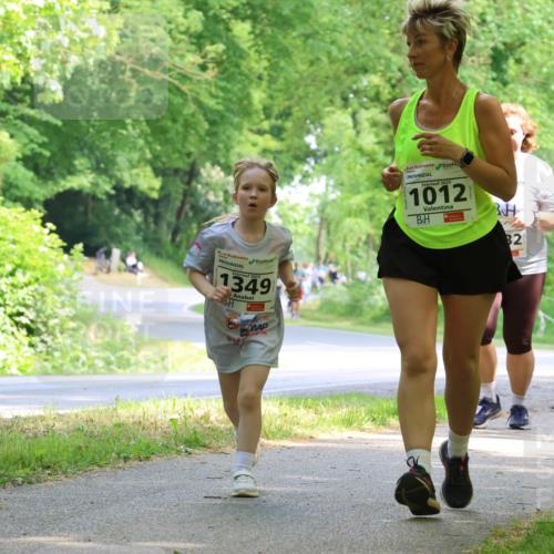 17.05.2025 - Störlauf Strokosch-Dieckow http://msf.ph/oto/7858236 17.05.2025 14:51:00 Laufen 2025, 1349, 2025, 1012, 82, 1356 meine-sportfotos.de