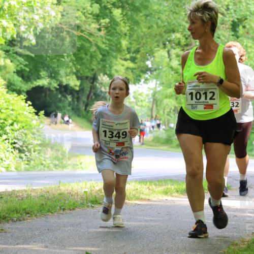 17.05.2025 - Störlauf Strokosch-Dieckow http://msf.ph/oto/7858242 17.05.2025 14:51:00 Laufen 2025, 1349, 2025, 1012, 32, 1356 meine-sportfotos.de