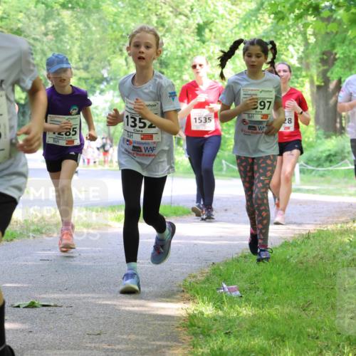 17.05.2025 - Störlauf Strokosch-Dieckow http://msf.ph/oto/7858265 17.05.2025 14:51:05 Laufen 2025, 1078, 85, 135, 397, 1535, 28, 1153 meine-sportfotos.de