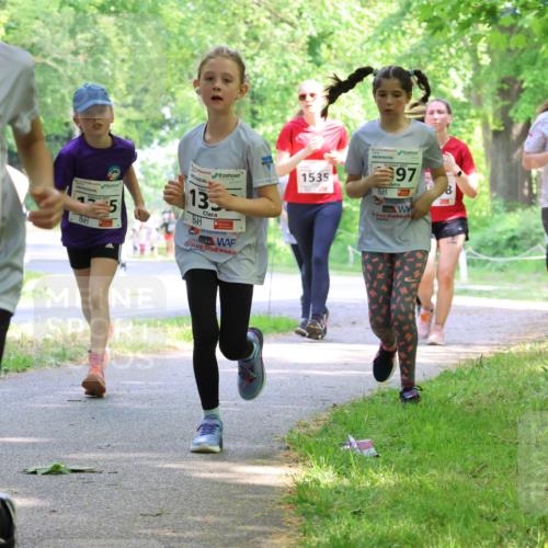 17.05.2025 - Störlauf Strokosch-Dieckow http://msf.ph/oto/7858267 17.05.2025 14:51:05 Laufen 2015, 078, 13, 1535, 2025, 97, 1153 meine-sportfotos.de