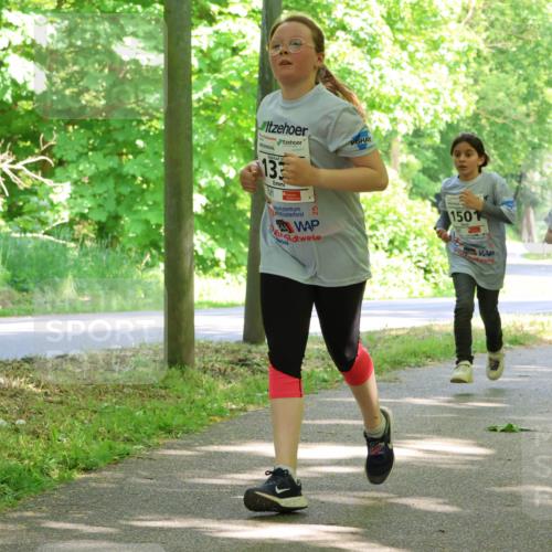 17.05.2025 - Störlauf Strokosch-Dieckow http://msf.ph/oto/7858302 17.05.2025 14:51:15 Laufen 25, 133, 176, 25, 1501 meine-sportfotos.de
