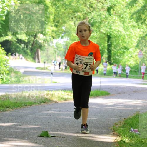 17.05.2025 - Störlauf Strokosch-Dieckow http://msf.ph/oto/7858328 17.05.2025 14:51:25 Laufen 2025, 1973 meine-sportfotos.de