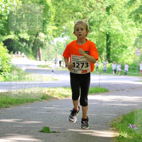 17.05.2025 - Störlauf Strokosch-Dieckow http://msf.ph/oto/7858333 17.05.2025 14:51:25 Laufen 2025, 1273 meine-sportfotos.de