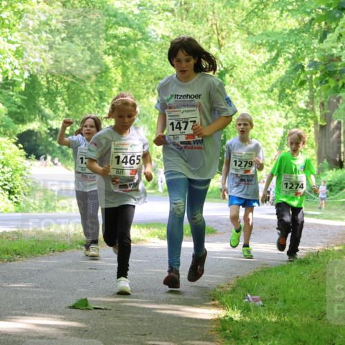 17.05.2025 - Störlauf Strokosch-Dieckow http://msf.ph/oto/7858409 17.05.2025 14:52:08 Laufen 17, 1465, 2025, 1477, 1279, 1274 meine-sportfotos.de