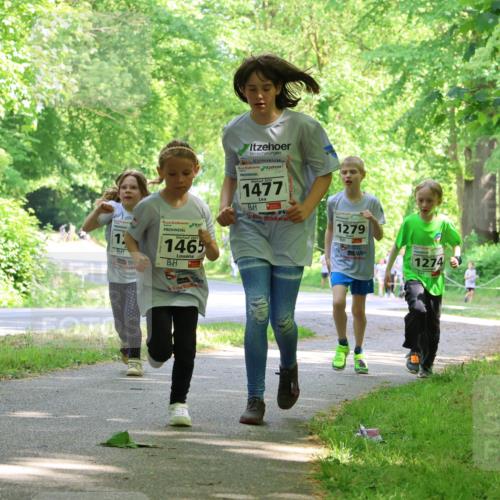 17.05.2025 - Störlauf Strokosch-Dieckow http://msf.ph/oto/7858412 17.05.2025 14:52:08 Laufen 2025, 1477, 1279, 1, 2025, 1465, 155, 1274 meine-sportfotos.de
