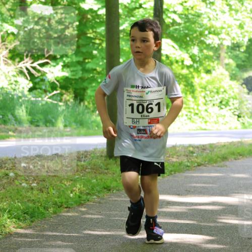 17.05.2025 - Störlauf Strokosch-Dieckow http://msf.ph/oto/7858462 17.05.2025 14:52:29 Laufen 2025, 1061 meine-sportfotos.de