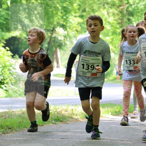 17.05.2025 - Störlauf Strokosch-Dieckow http://msf.ph/oto/7858479 17.05.2025 14:52:37 Laufen 2025, 1394, 1, 202, 133, 20, 1401, 55 meine-sportfotos.de